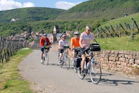 Visite privée à vélo des vignobles d'Alsace et des villages viticoles