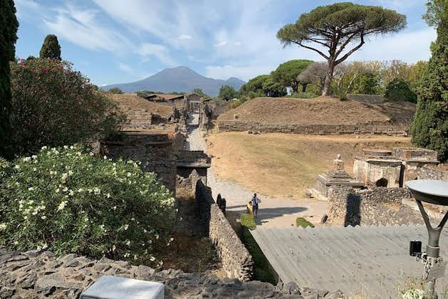 Overfør Napoli til Sorrento og stop i Pompeji