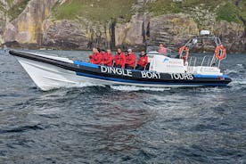 Dingle Boat Tours Wildlife RIB ævintýri