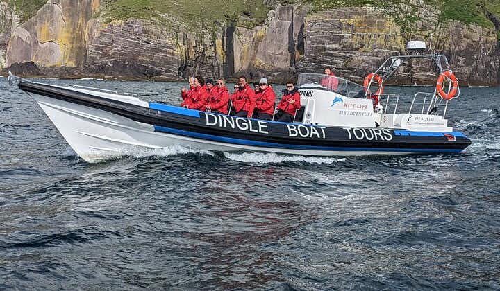Dingle Boat Tours Vida Silvestre RIB Adventure
