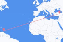 Flyreiser fra St George's, Grenada til Sivas, Tyrkia