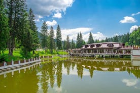 Bears Sanctuary, Dracula Castle and Poiana Brasov-Private day tour from Brasov