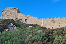 Visite de luxe de Rhodes comprenant Lindos, la vieille ville et une dégustation de vins