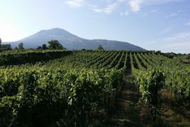 Vin tur og lunsj med vinsmaking og vingård besøk