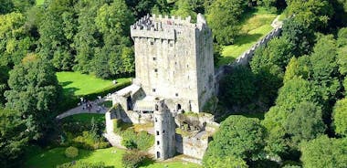 Excursión por la costa de Cork: Visita a Cork, incluyendo Kinsale y el Castillo de Blarney