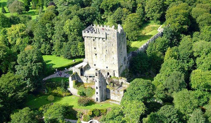Kustexcursie vanuit Cork: inclusief Blarney Castle en Kinsale