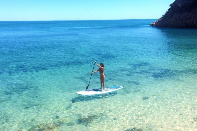 Stand Up Paddle in Marine Sanctuary 