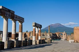 Pompeii, Oplontis en Herculaneum van de kust van Amalfi