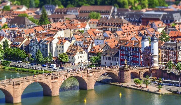 Private tour of the best of Heidelberg- Sightseeing, Food & Culture with a local
