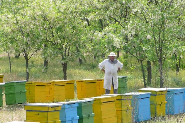 Mehiläisten seikkailu Romaniassa - Yksityinen päiväretki Bukarestista
