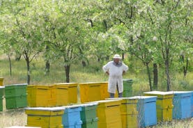 Aventura de abelhas na Romênia - viagem privada de um dia saindo de Bucareste
