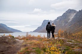 北极公路之旅：索马罗伊 (Sommarøy) 风景优美的野餐 |观光