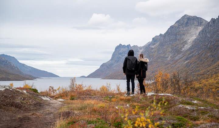 Arctic Road Trip from Tromso: Fjords with Scenic Picnic at Kvaloya Island, Norway