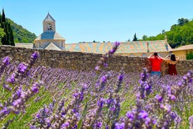 One-Day Lavender Tour of Valensole Sault and Luberon