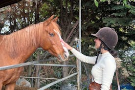 Paseo a caballo por las colinas toscanas de Chianti