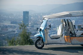 私人旅游：乘坐电动嘟嘟车的苏世黎市中心及周边之旅