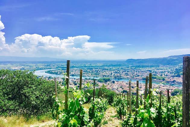 Dagtour Noord-Rhône-vallei met wijnproeverij vanuit Lyon