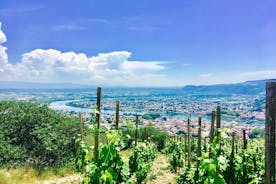 Dagstur i norra Rhônedalen med vinprovning från Lyon