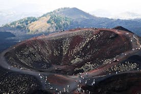 Tour privato da Messina: Etna e visita a una cantina con degustazione enogastronomica