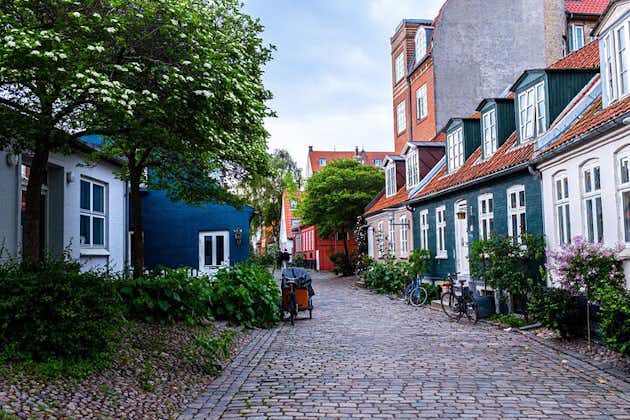 Aarhus Like a Local: Customized Private Tour