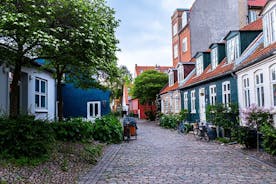 Aarhus kuin paikallinen: räätälöity yksityinen kiertue