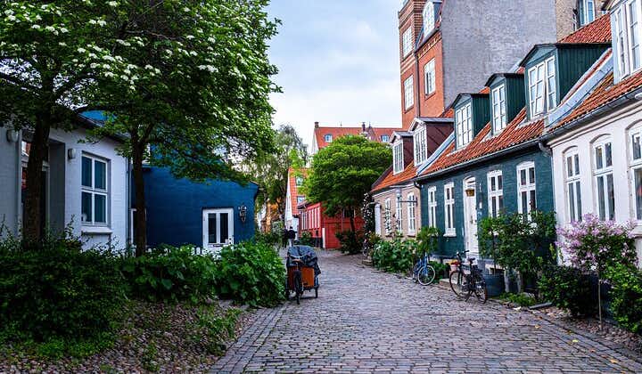 Aarhus som ett lokalt: Anpassad privat rundtur