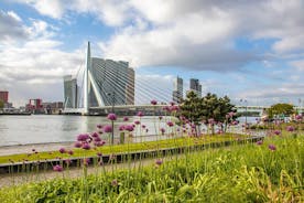 Discover Rotterdam’s most Photogenic Spots with a Local