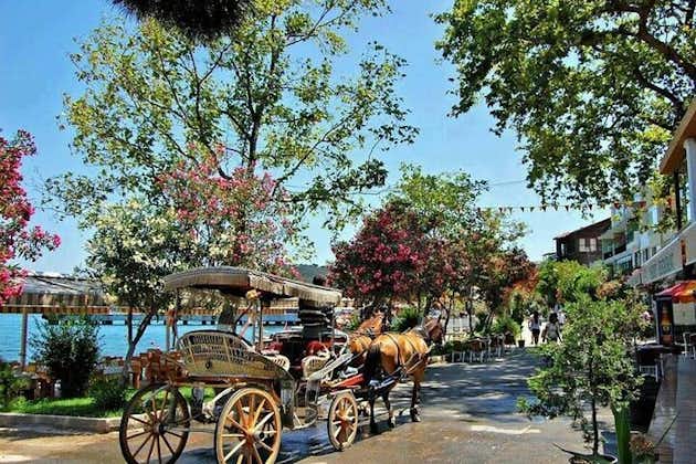 Visite de l'île des Princes d'Istanbul avec déjeuner et transfert à l'hôtel