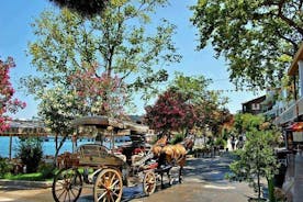 Tour dell'Isola dei Principi di Istanbul con pranzo e trasferimento in hotel