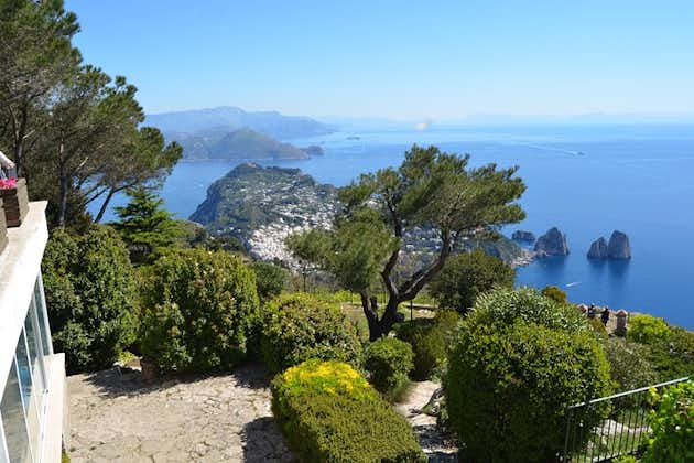 Capri og Blue Grotto Stressfri dagstur med børn fra Sorrento
