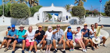 The Classic Rhodes Sightseeing Tour - 6.5 Hours Private Tour - up to 8 Pax
