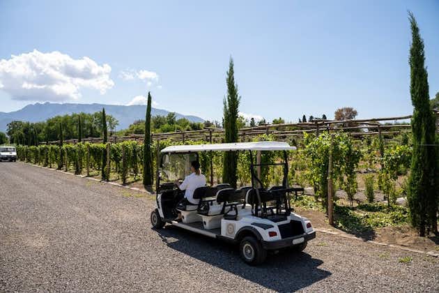 Seafood Lunch with Wine Tasting & Tour on a golf cart