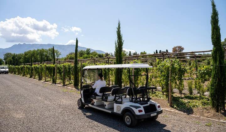 Seafood Lunch with Wine Tasting & Tour on a golf cart