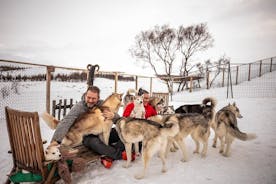 Acariciamiento de husky en Akureyri (privado)