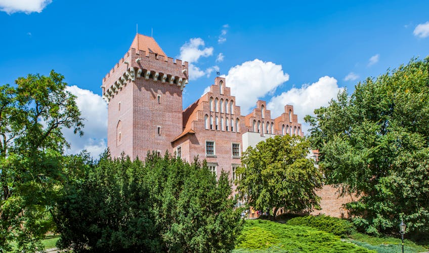 Photo of royal Castle. Poznan.
