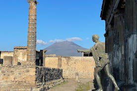 Pompeji og Vesuv med frokost og vinsmagning fra Positano alt inklusive