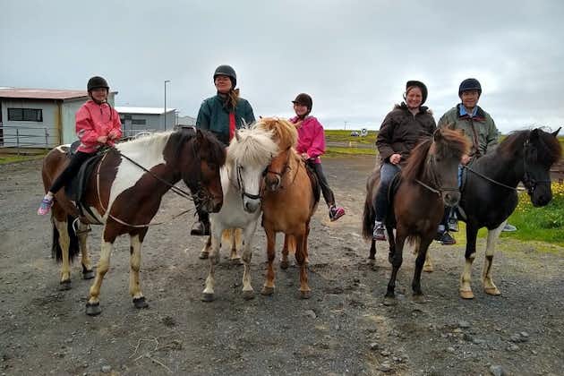 Experimente el campo de Islandia a caballo