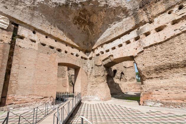 Baths of Caracalla privat guidet tur