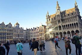 Brussels: City Tour by Car