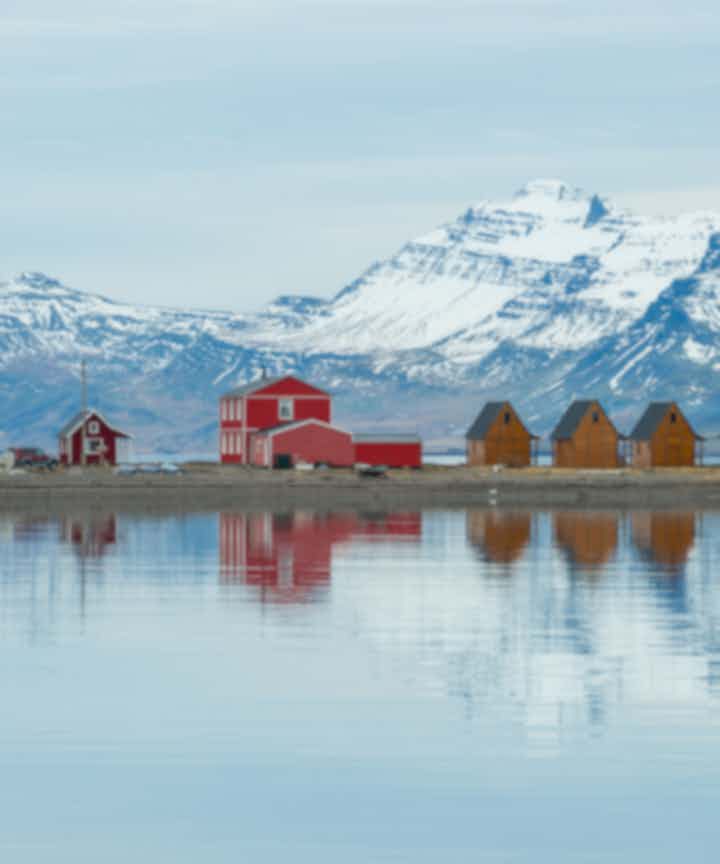 Best road trips in East Iceland