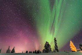 Visite privée d'Aurora (1-4) par des experts d'Aurora - Inari-Saariselkä