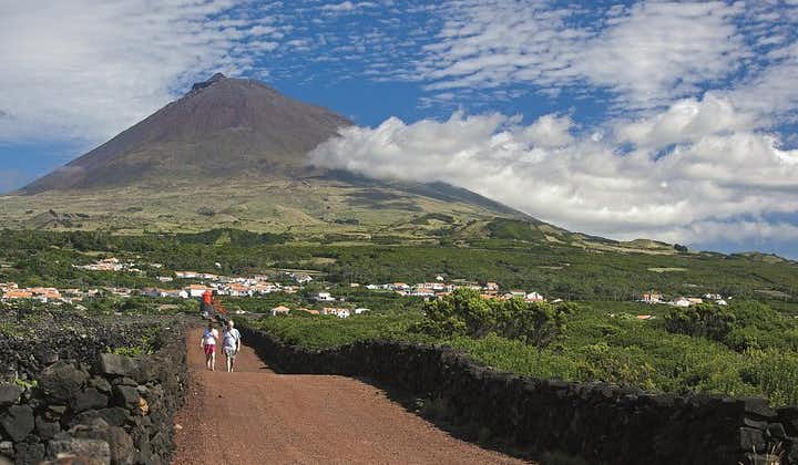 Full-Day Pico Island Tour from Horta