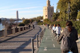 Sevilla Bike Tour Efter Guadalquivir River