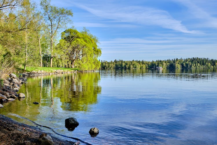 Photo of Arboretum late spring view in Tampere.