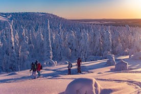 Aventura de dia inteiro com raquetes de neve na Mina de Ametista Pyhä Luosto