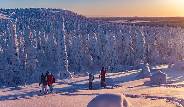 Full-Day Snowshoeing Adventure in Amethyst Mine Pyhä Luosto