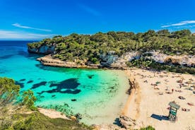 Volledige dagtour naar de beste stranden en baaien van Mallorca