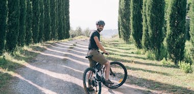 E-Bike Tour and Wine Tasting from San Gimignano