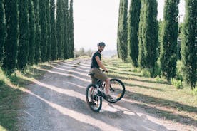 Excursão de bicicleta elétrica e degustação de vinhos de San Gimignano