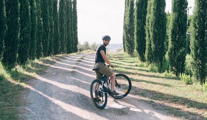 E-Bike Tour and Wine Tasting from San Gimignano